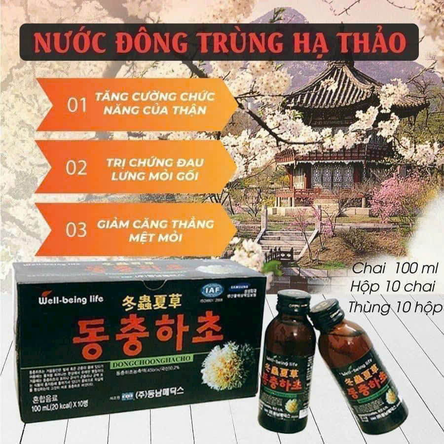 Nước uống tăng lực đông trùng hạ thảo